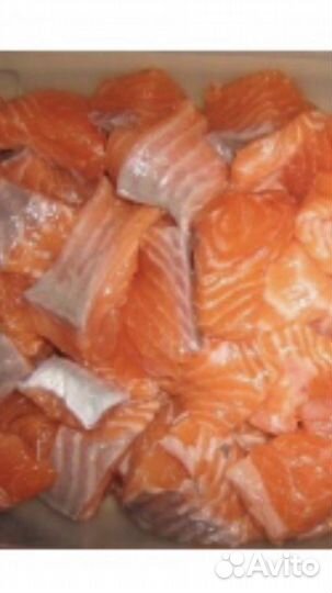 Рыба. Мясо Форель