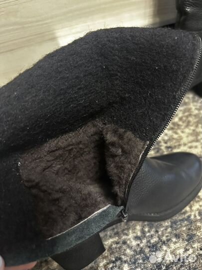 Сапоги женские ralf ringer еврозима