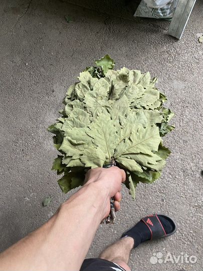 Банные веники