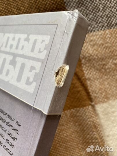 Книга террариумные животные