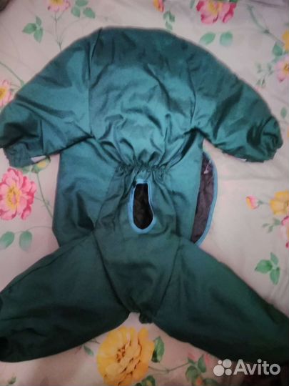 Одежда и обувь для большой собаки