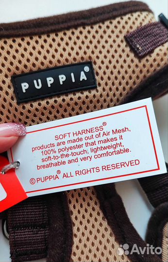 Шлейка для маленькой собаки