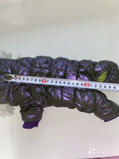 Одежда для маленьких собак