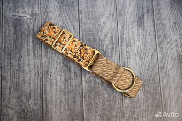 Ошейники и другая амуниция для собак