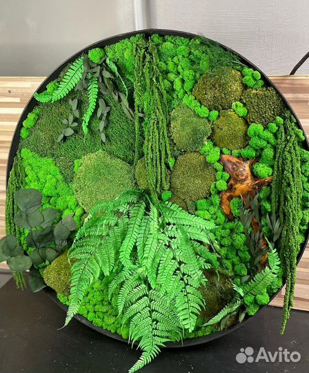 Панно из стабилизированного мха