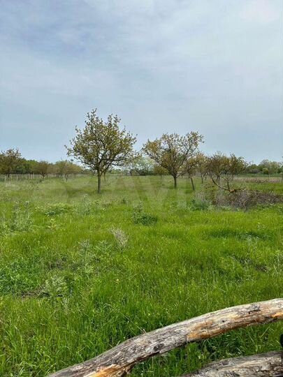 Участок 1000 га (СНТ, ДНП)