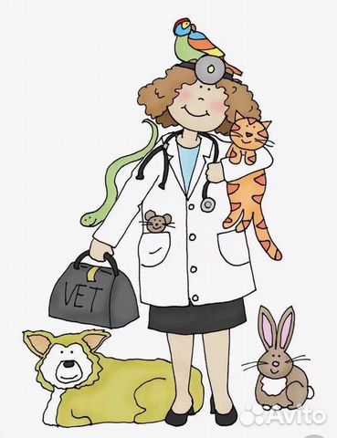 Ветеринар выезд на дом