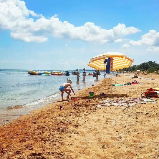 Комната 24 м², 1/2 эт.