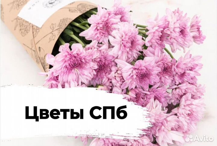 Цветы / доставка цветов / хризантемы