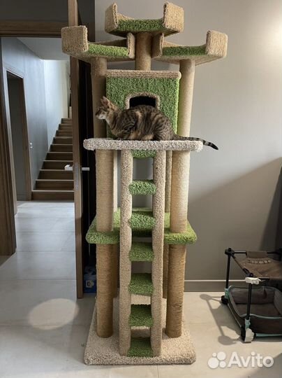 Домик для кошки с когтеточкой