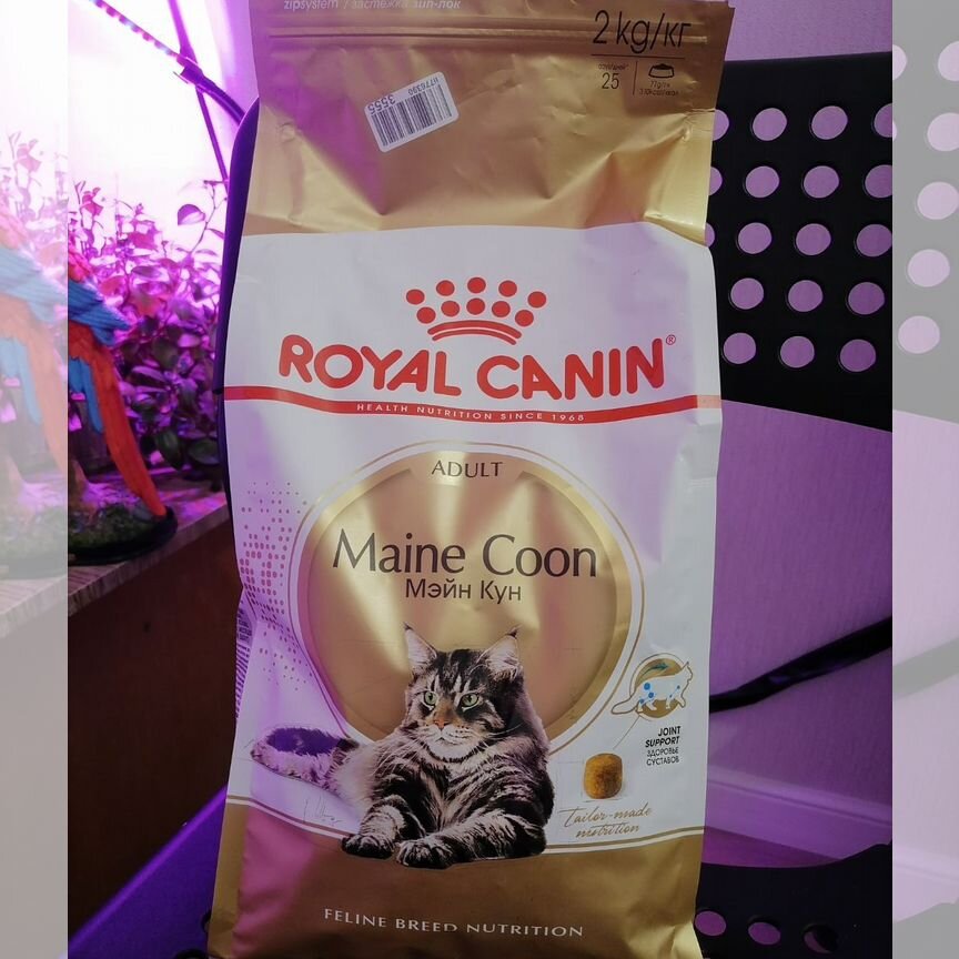 Корм для кошек royal canin Мэйн Кун