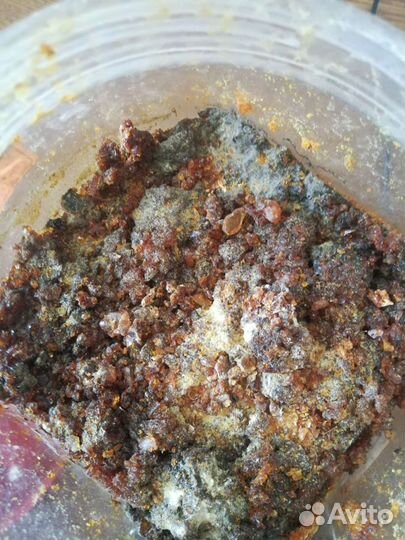 Канифоль сосновая