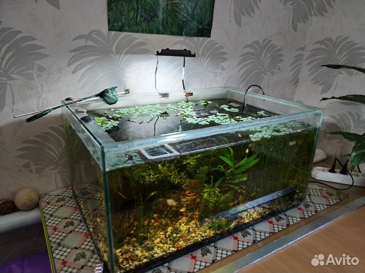 Аквариум 110л с растениями и рыбками