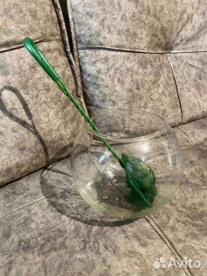 Аквариум для Петушка на 3 литра