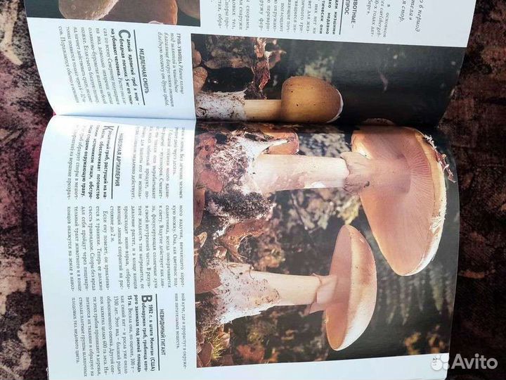 1000 чудес природы супер качество