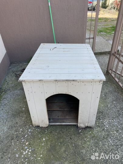 Собачья будка