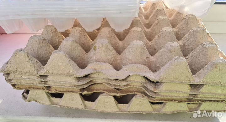 Ячейки,одноразовые контейнеры,банки для рассады