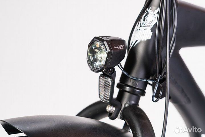 Электровелосипед, фэтбайк Медведь Cruise