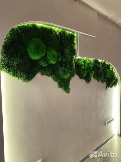 Мох Озеленение Декор Фитостена Живая стена