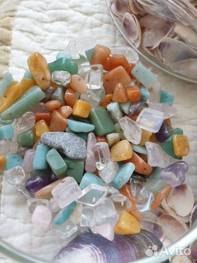 Морские ракушки. Крым, камни цветные натуральные