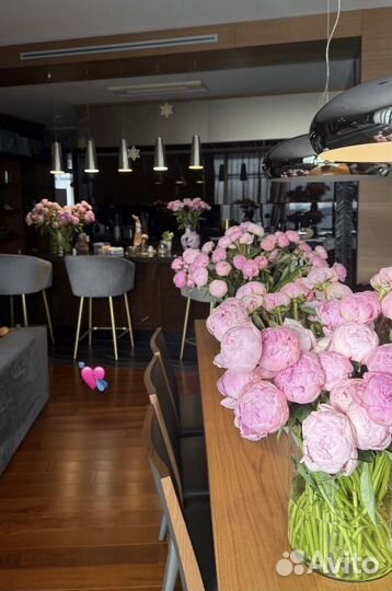 Пионы оптом