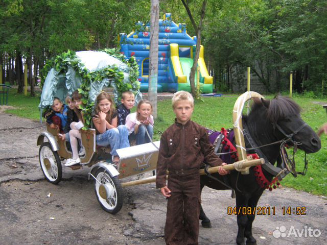Продажа лошади,пони