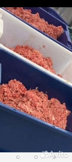 Корм для собак, кошек, курей