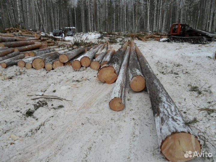 Заготовка древесины