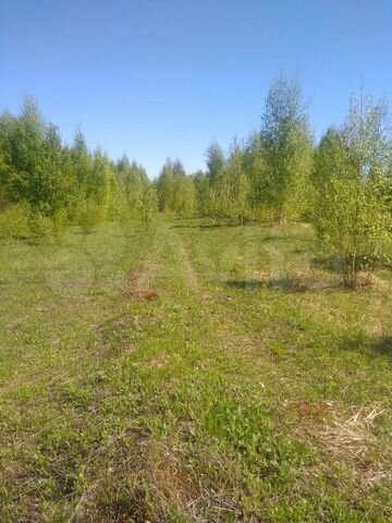 Участок 15 сот. (ИЖС)