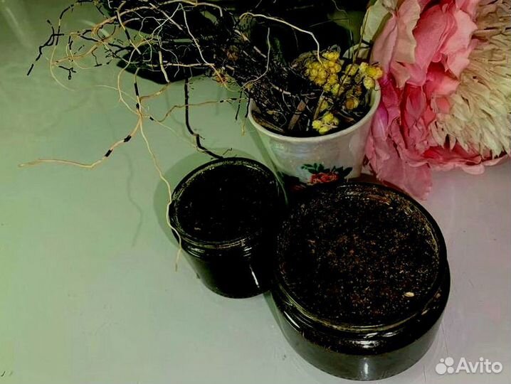 Пчелиный нектар для потенции