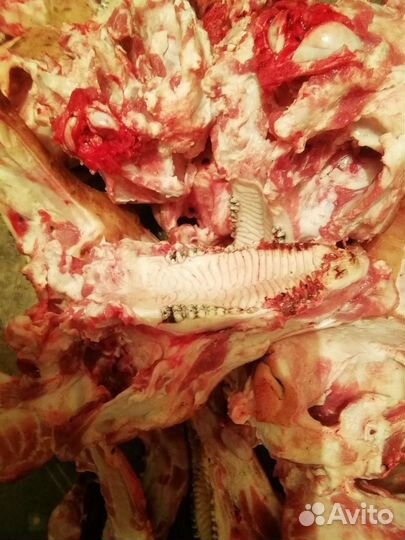 Свиные -уши