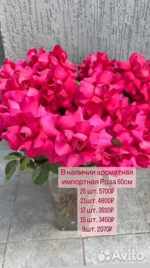 Роза импортная