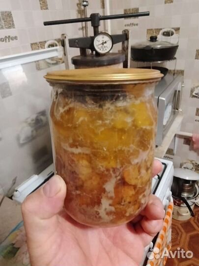 Домашняя тушенка