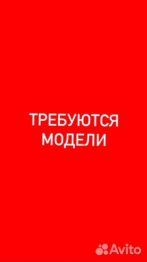 Начинающий грумер, Стрижка собак и кошек груминг