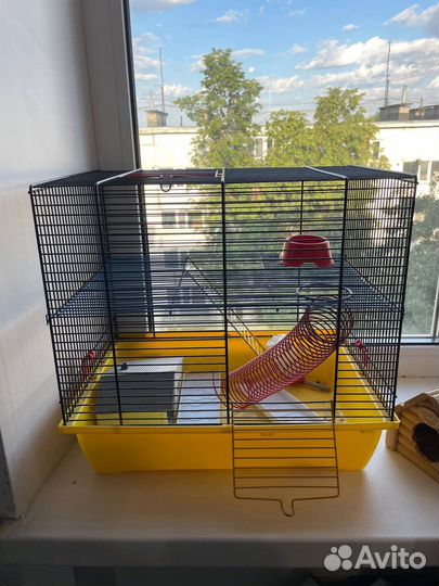 Клетки для грызунов