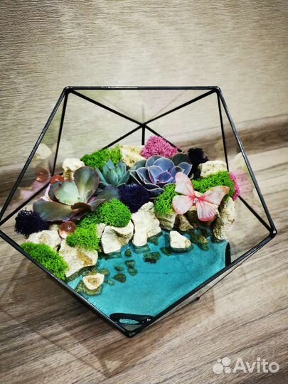 Флорариум в геометрических формах