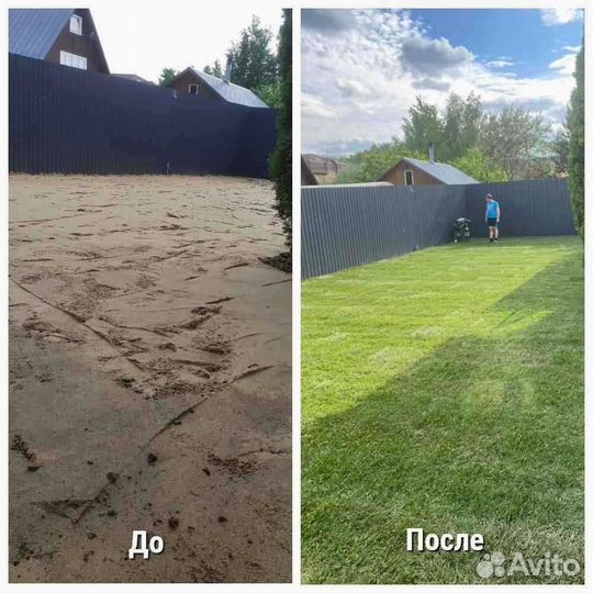 Рулонный газон от производителя