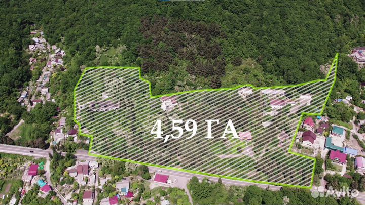 Аэросъемка + видеосъемка