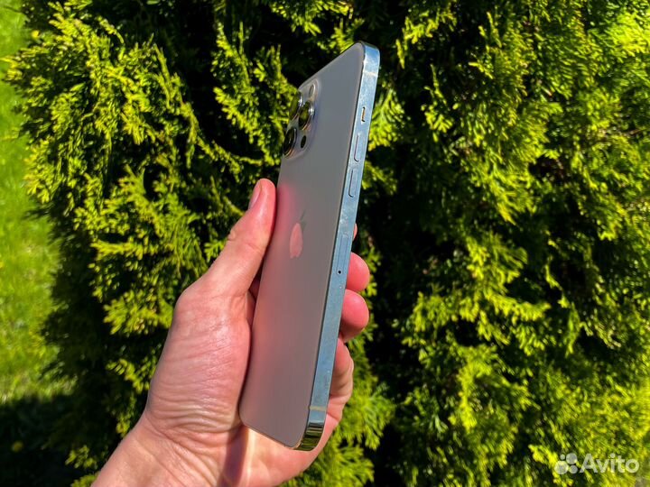 iPhone 12 Pro Max, 256 ГБ