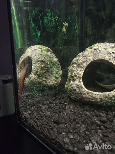 Аквариум 35л