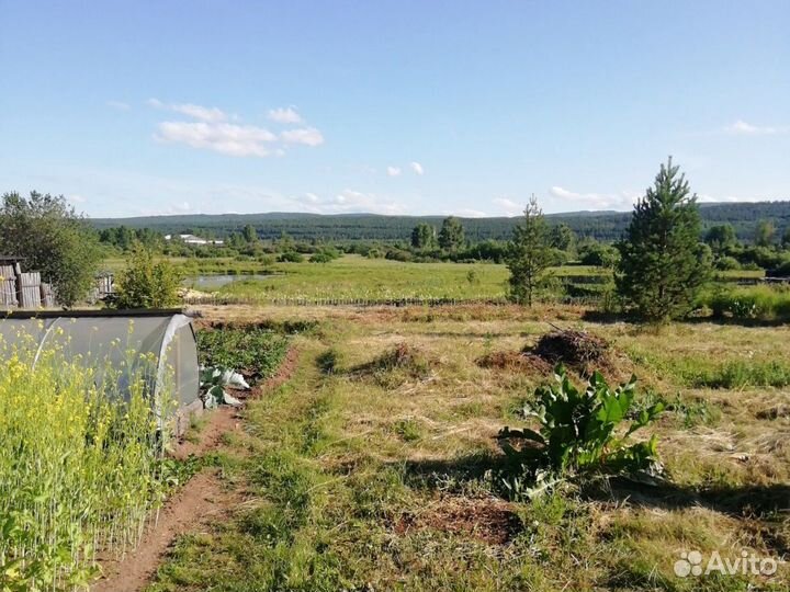 Скошу траву, котовая выросла на твоём участке, это