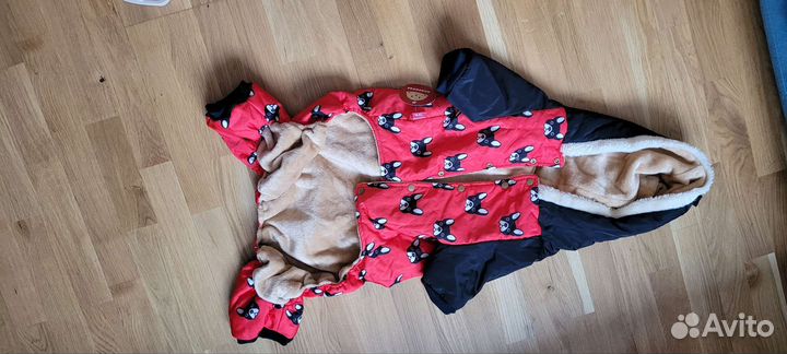 Дождевик пчёлка и курточка зимняя для собак