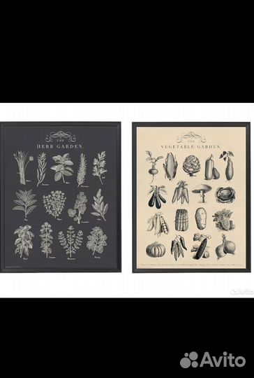 Постер икеа кноппенг сад