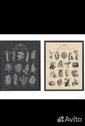 Постер икеа кноппенг сад