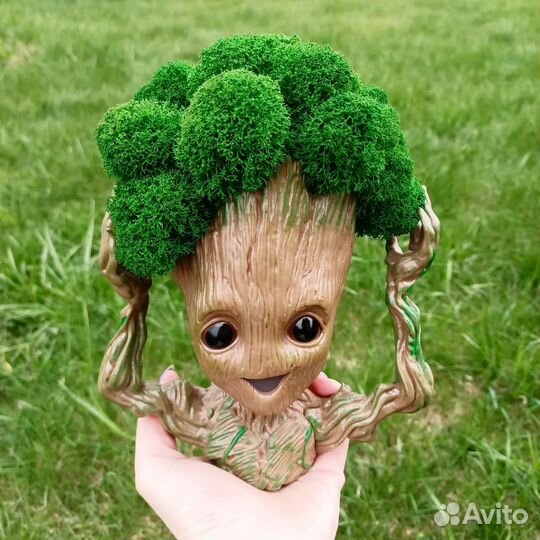 Грут с пышной шапкой мха