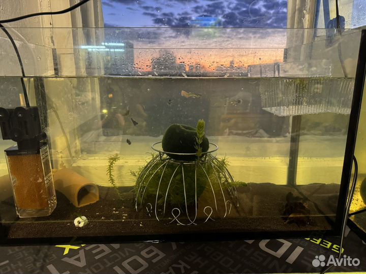 Аквариум на 150 литров