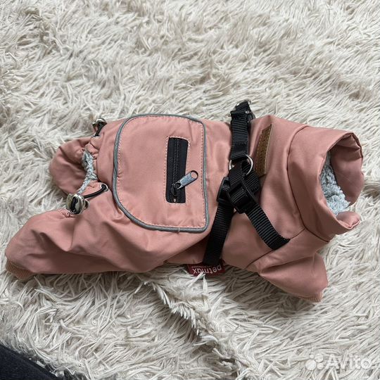 Одежда для собак мелких пород