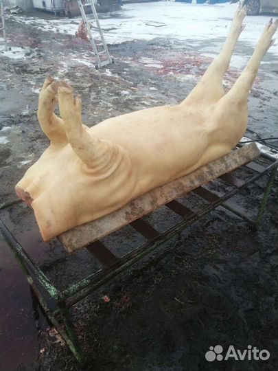 Утки Гуси Свинина.домаш тушенка