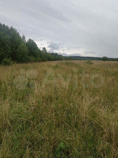 Участок 30 сот. (ИЖС)