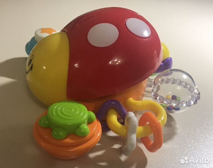 Божья коровка